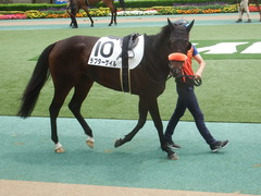 20190601 東京7R 3歳牝馬1勝 ラプターゲイル 06