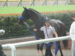 20190608 東京9R 八丈島特別 1勝 ミッキーバード 27