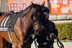 20200202 東京10R 早春S (3勝クラス) オウケンブラック 04