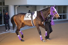 20200105 中山2R 3歳未勝利 セイウンヒロイン 02