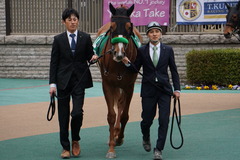 20200215 東京11R クイーンC(G3) 3歳牝馬OP ホウオウピースフル 09