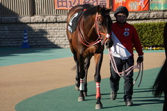 20200202 東京10R 早春S (3勝クラス) ホウオウドリーム 15