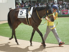20190908 中山2R 2歳未勝利 ルトロヴァイユ 11