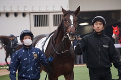 20191222 中山2R 2歳未勝利 ヴィーヴァメジロ 02