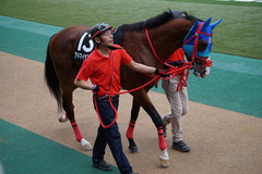 20191124 東京10R ウェルカムS (3勝) アドマイヤスコール 07