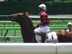20190616 東京4R 3歳未勝利 ヤップヤップヤップ 24