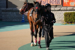 20200202 東京10R 早春S (3勝クラス) オウケンブラック 08