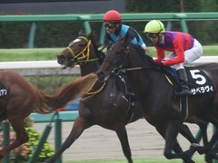 20190922 中山8R 芙蓉S 2歳OP ルトロヴァイユ 20