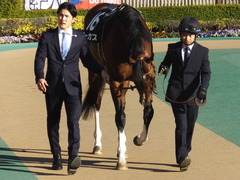 20200208 東京11R 節分S(4歳上3勝クラス) ルーカス 05