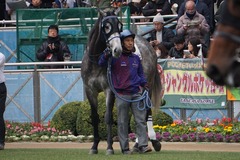 20191222 中山7R 3歳上1勝クラス ロークアルルージュ 13