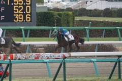 202001111 中山2R 3歳未勝利 トーセンマックス 16
