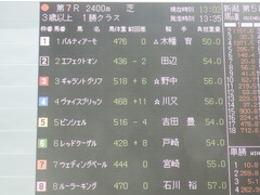 20190810 新潟7R 3歳上1勝クラス ピンシェル 02