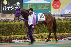 20200215 東京3R 3歳未勝利 シゲルタイタン 13