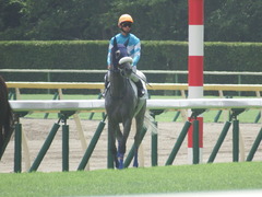 20190810 新潟7R 3歳1勝クラス ウェディングベール 11