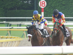 20190601 東京10R 由比ヶ浜特別 3歳上2勝 ロジスカーレット 20