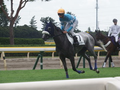 20190810 新潟7R 3歳1勝クラス ウェディングベール 15