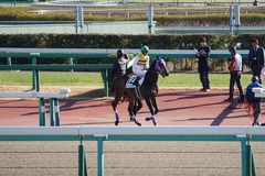 20200105 中山2R 3歳未勝利 セイウンヒロイン 15