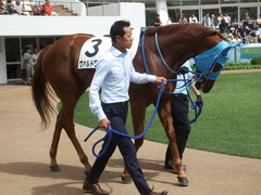 20190908 中山7R 3歳上1勝クラス ヴァルドワーズ 07