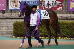 20200215 東京3R 3歳未勝利 シゲルタイタン 07