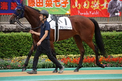20191015 東京2R 2歳牝馬未勝利 アルソリート 11