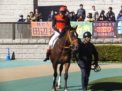 20200209 東京7R 4歳上1勝クラス ピンシェル 16