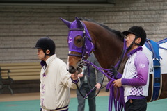 20200215 東京3R 3歳未勝利 シゲルタイタン 20