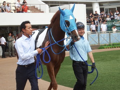 20190908 中山7R 3歳上1勝クラス ヴァルドワーズ 12