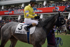20191222 中山7R 3歳上1勝クラス ロークアルルージュ 17