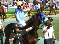 20190525 東京10R 葉山特別(1000) アドマイヤシナイ 14