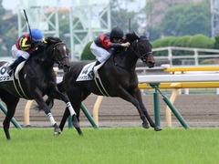 20190608 東京6R 3歳牝馬未勝利 ホウオウヒミコ 19