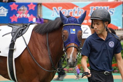 20191015 東京2R 2歳牝馬未勝利 アルソリート 10