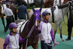 20191027 東京3R 2歳未勝利 シゲルタイタン 10