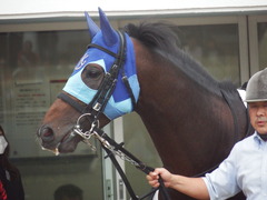 20190921 中山12R 3歳上2勝クラス 05