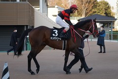 20200111 中山11R 迎春S (3勝クラス) ホウオウドリーム 24