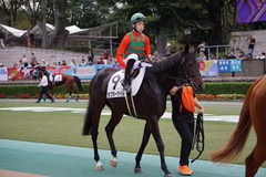 20191026 東京12R 3歳上1勝クラス ラプターゲイル 18