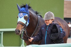 20200112 中山12R 4歳上3勝クラス アドマイヤシナイ 24