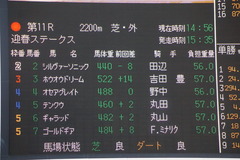 20200111 中山11R 迎春S (3勝クラス) ホウオウドリーム 02