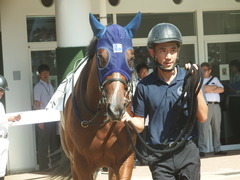 20190928 中山5R 2歳牝馬メイクデビュー アルソリート 05