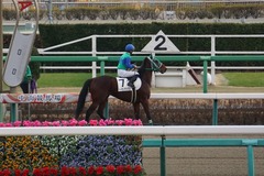 202001111 中山2R 3歳未勝利 トーセンマックス 14