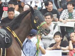 20190922 中山8R 芙蓉S 2歳OP ルトロヴァイユ 12