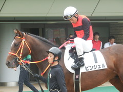 20190609 東京7R 3歳上1勝 ピンシェル 25
