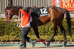 20200202 東京10R 早春S (3勝クラス) ホウオウドリーム 08