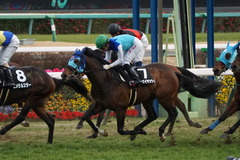20200125 中山10R 東雲賞(3勝) アドマイヤシナイ 20