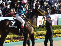20200209 東京9R ゆりかもめ賞 3歳1勝クラス ルトロヴァイユ 13