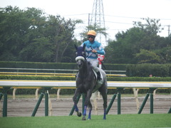 20190810 新潟7R 3歳1勝クラス ウェディングベール 13