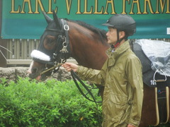 20190622 東京10R 八ヶ岳特別(2勝) ロジスカーレット 05