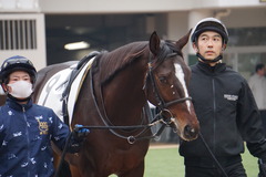 20191222 中山2R 2歳未勝利 ヴィーヴァメジロ 03