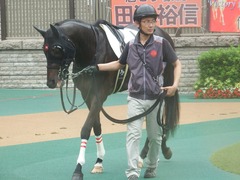 20190622 東京3R 3歳未勝利 ショウナンサジン 15