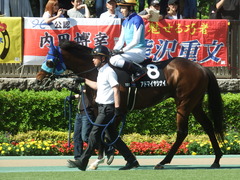 20190525 東京10R 葉山特別(1000) アドマイヤシナイ 15