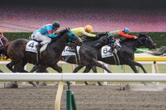 20191124 東京4R 3歳上1勝クラス ロークアルルージュ 20